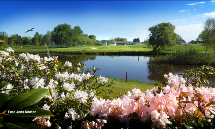 Design Uden Navn (24)