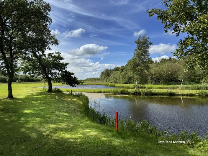 Sommermotiv Aalborg Golfklub