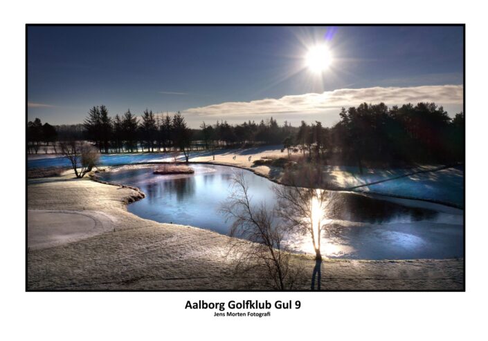 70×100 Gul 9 20×30