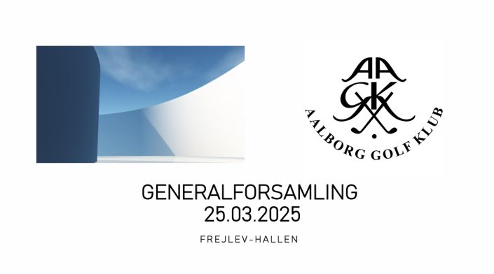 Skærmbillede 2025 03 04 102558