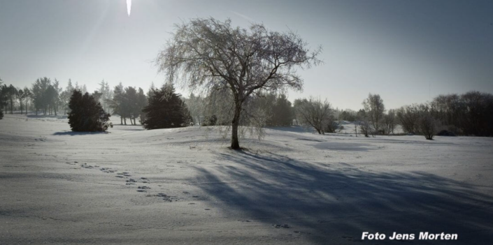 Skærmbillede 2026 02 18 131421